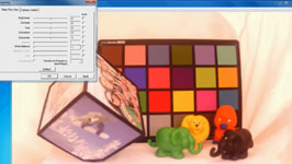 white balance settings in e-camview